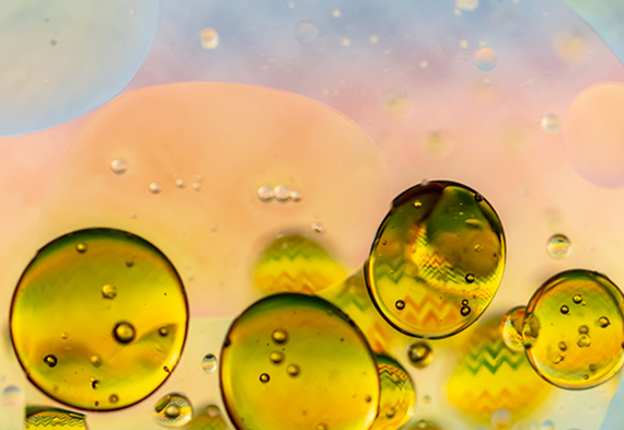 3003.com - 享有盛誉·(中国)